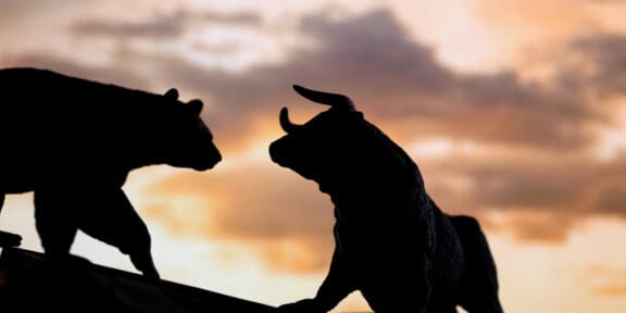 bull vs bear market